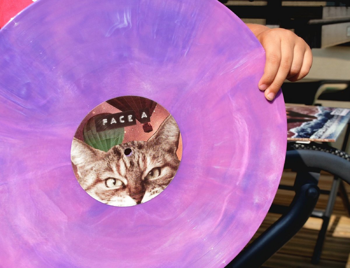 The Traders - How Much Art Can You Take LP Vinyl distroville.myshopify.com