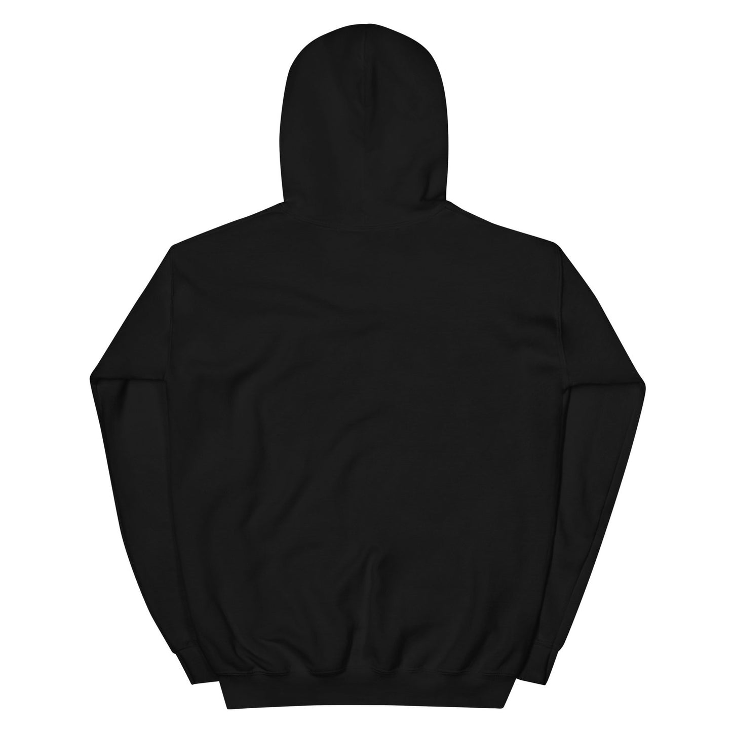 unisex-heavy-blend-hoodie-black-back-65cfbb840e2fd.jpg